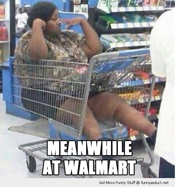 funny-fat-woman-cart-trolley-shopping-meanwhile-walmart-pics